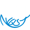 Compare Domain, Hosting, and SSL Prices and Plans